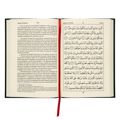 The Noble Quran English